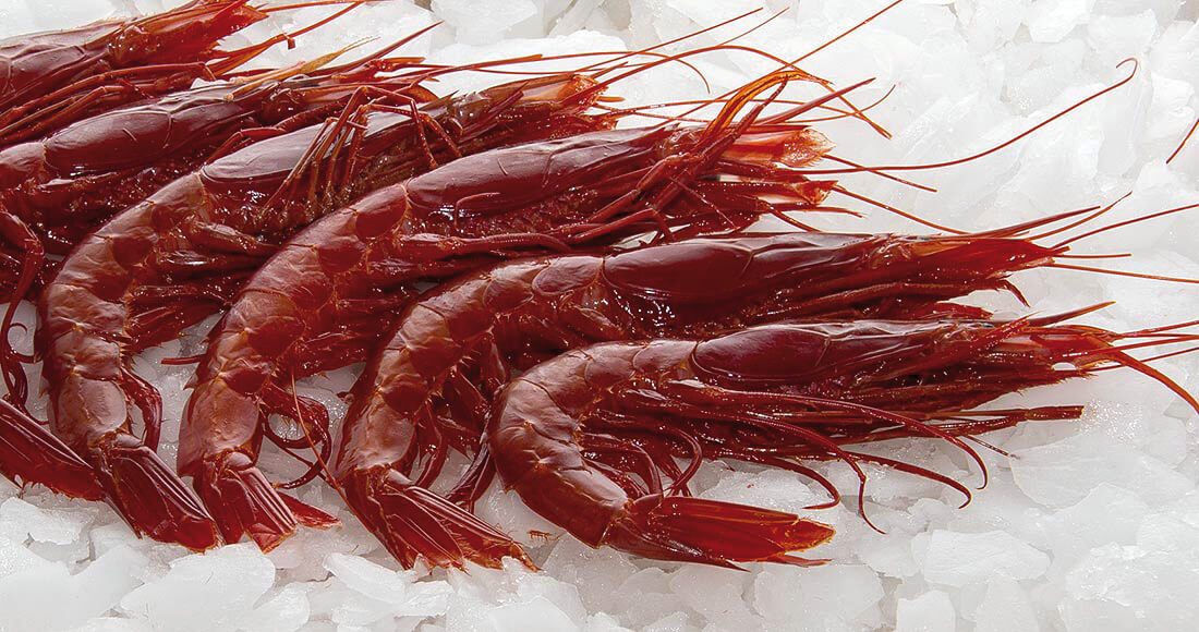 Prawne Irish Trials of Non-Sulphite Prawn Treatments - PH7 Food Tech